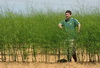 Gayfarmer